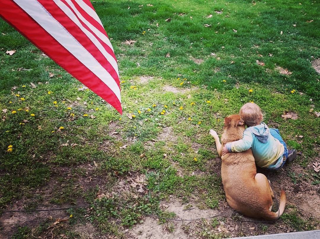 A child and the family dog on the lawn beside an American flag